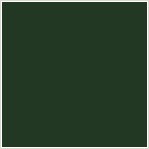 223823 Hex Color Image (GREEN, GREEN KELP)