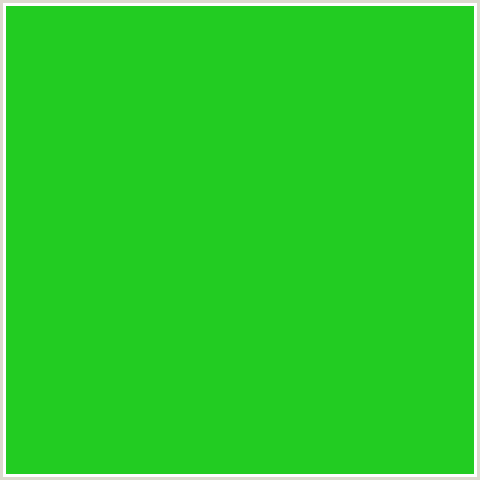 22CC22 Hex Color Image (FOREST GREEN, GREEN)