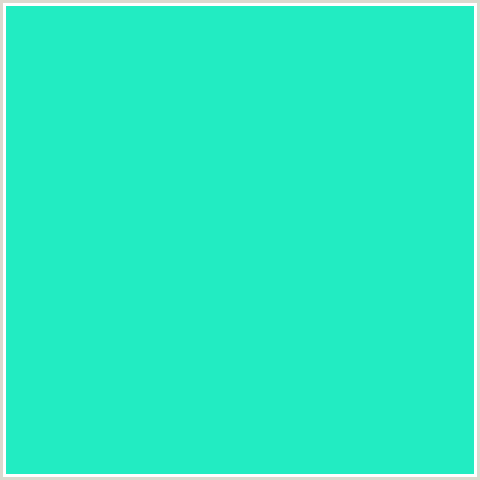 22ECC2 Hex Color Image (BLUE GREEN, BRIGHT TURQUOISE)