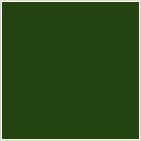 234311 Hex Color Image (GREEN, PALM LEAF)