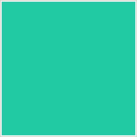 23C9A4 Hex Color Image (BLUE GREEN, JAVA)