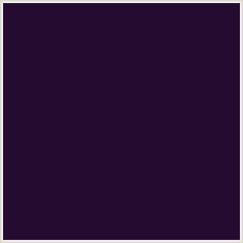 240B30 Hex Color Image (PURPLE, VALENTINO, VIOLET)