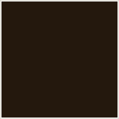 24180D Hex Color Image (COFFEE BEAN, ORANGE RED)