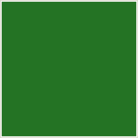 247324 Hex Color Image (FOREST GREEN, GREEN)