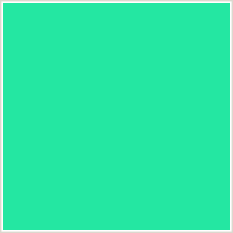 24E7A2 Hex Color Image (GREEN BLUE, JAVA)