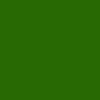 286903 Hex Color Image (FOREST GREEN, GREEN, JAPANESE LAUREL)