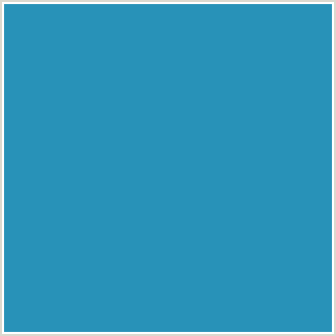 2892B8 Hex Color Image (EASTERN BLUE, LIGHT BLUE)