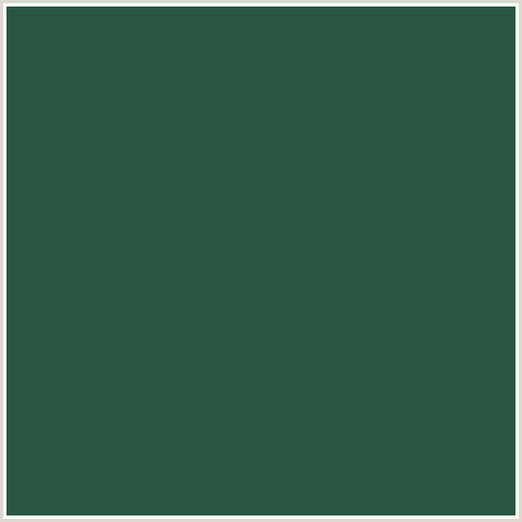295640 Hex Color Image ()