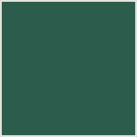 2C5C4B Hex Color Image (GREEN BLUE, STROMBOLI)