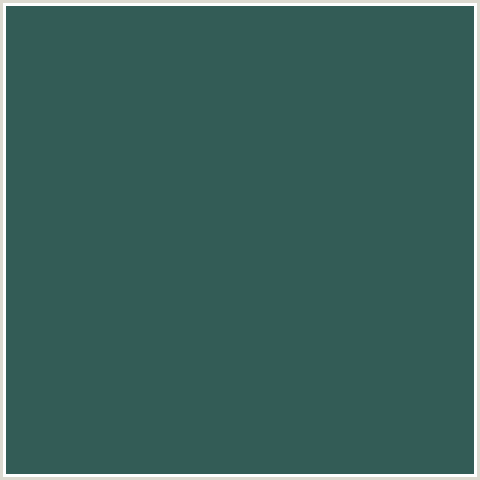 335C56 Hex Color Image (BLUE GREEN, STROMBOLI)