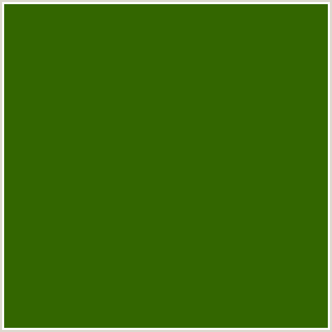 336600 Hex Color Image (GREEN, VERDUN GREEN)