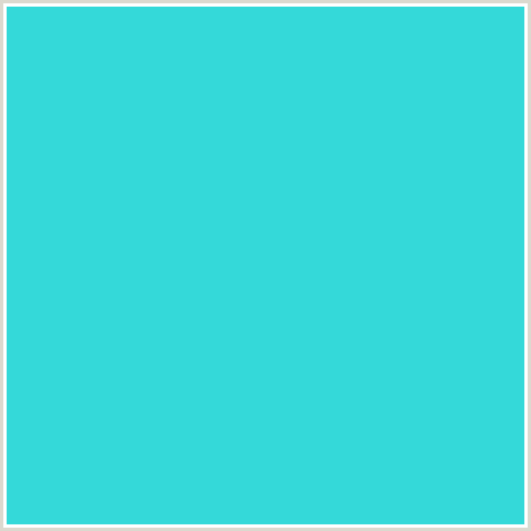 34D9D9 Hex Color Image (LIGHT BLUE, TURQUOISE)