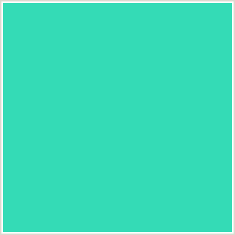 34DBB6 Hex Color Image (BLUE GREEN, TURQUOISE)