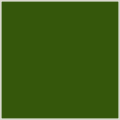35570B Hex Color Image (GREEN LEAF, GREEN YELLOW)