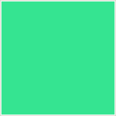 35E491 Hex Color Image (GREEN BLUE, SHAMROCK)
