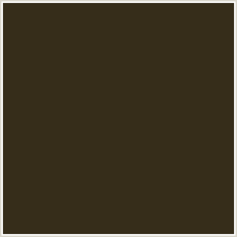 362D1A Hex Color Image (BLACK MARLIN, YELLOW ORANGE)