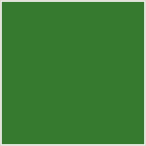 367A2F Hex Color Image (FOREST GREEN, GOBLIN, GREEN)