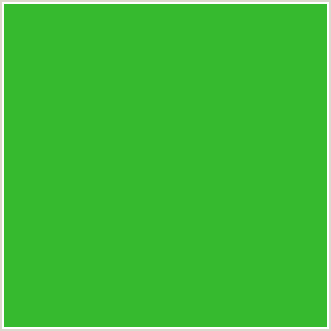 36BA2F Hex Color Image (APPLE, GREEN)