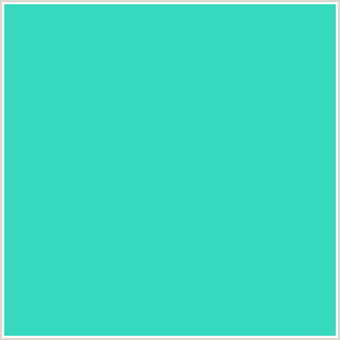 36D9BD Hex Color Image (BLUE GREEN, TURQUOISE)
