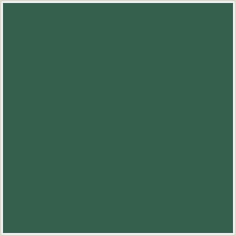 375F4E Hex Color Image (GREEN BLUE, STROMBOLI)
