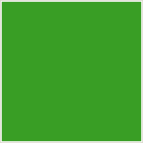 399E25 Hex Color Image (FOREST GREEN, GREEN)