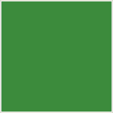 3A8A3C Hex Color Image (GOBLIN, GREEN)