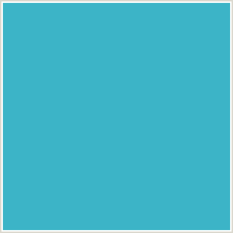 3CB4C7 Hex Color Image (LIGHT BLUE, PELOROUS)