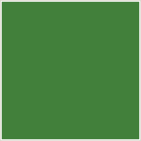 42803B Hex Color Image (FERN GREEN, GREEN)