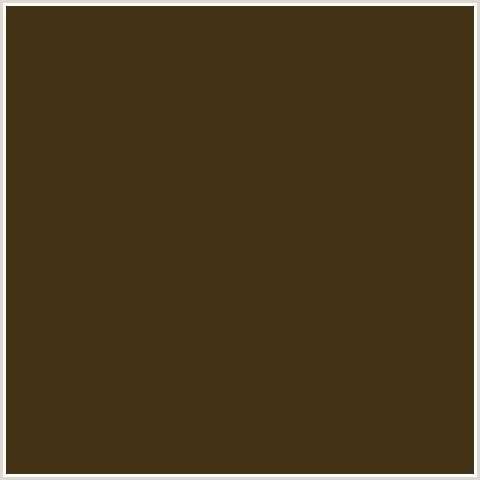 443214 Hex Color Image (BROWN, ORANGE, PUNGA)