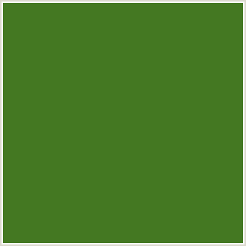 447822 Hex Color Image (FERN FROND, FOREST GREEN, GREEN)