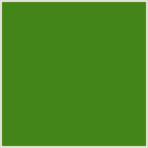 448519 Hex Color Image (FOREST GREEN, GREEN, LA PALMA)