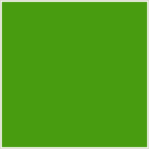 489C10 Hex Color Image (CHRISTI, GREEN)