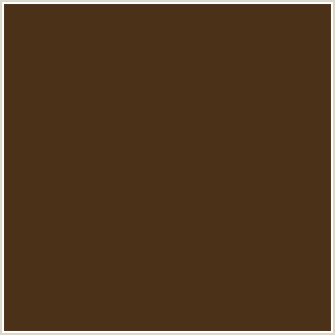 4A3118 Hex Color Image (BROWN, METALLIC BRONZE, ORANGE)