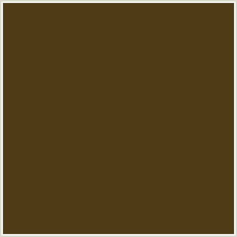 4F3B15 Hex Color Image (BROWN, ORANGE, PUNGA)