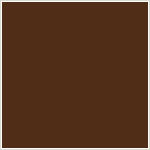 502D16 Hex Color Image (BROWN DERBY, ORANGE RED)