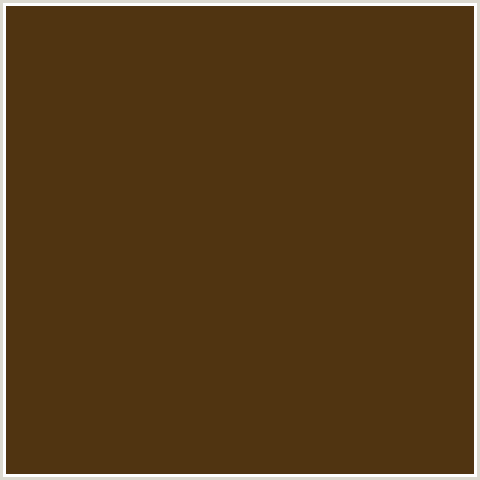 503411 Hex Color Image (BROWN, JAMBALAYA, ORANGE)