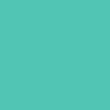 51C5B4.png