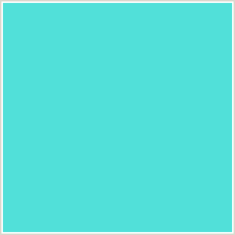 51E0D9 Hex Color Image (AQUA, LIGHT BLUE, VIKING)