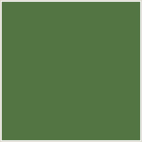 537544 Hex Color Image (FERN GREEN, GREEN)