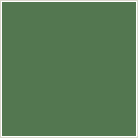 537750 Hex Color Image (CACTUS, GREEN)
