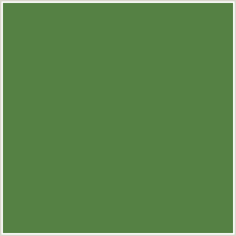 558144 Hex Color Image (FERN GREEN, GREEN)