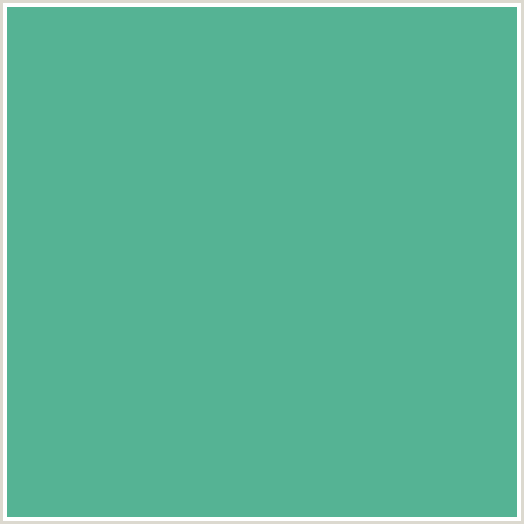 55B394 Hex Color Image (BLUE GREEN, SILVER TREE)