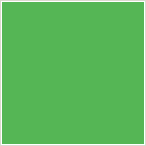 55B655 Hex Color Image (FERN, GREEN)