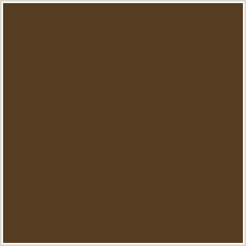 563D21 Hex Color Image (BROWN, IRISH COFFEE, ORANGE)