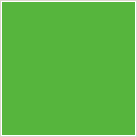 56B53D Hex Color Image (APPLE, GREEN)