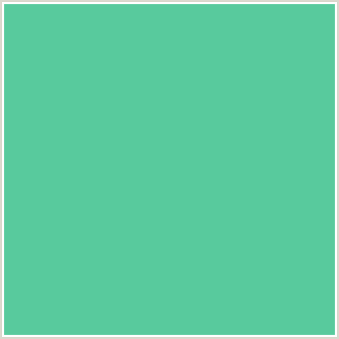 58CA9D Hex Color Image (GREEN BLUE, PUERTO RICO)