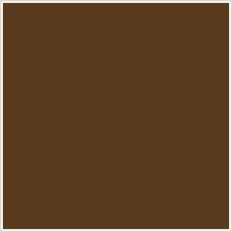 593C1F Hex Color Image (BROWN, IRISH COFFEE, ORANGE)