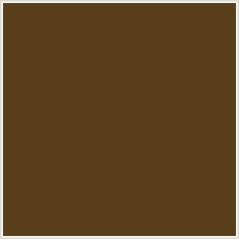 593E1A Hex Color Image (BROWN, ORANGE, PUNGA)