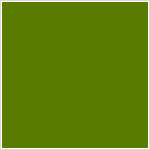 597C00 Hex Color Image (GREEN YELLOW, OLIVE)