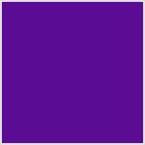 5A0C94 Hex Color Image (VIOLET BLUE, WINDSOR)